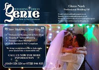 Wedding Disco Genie 1087574 Image 9